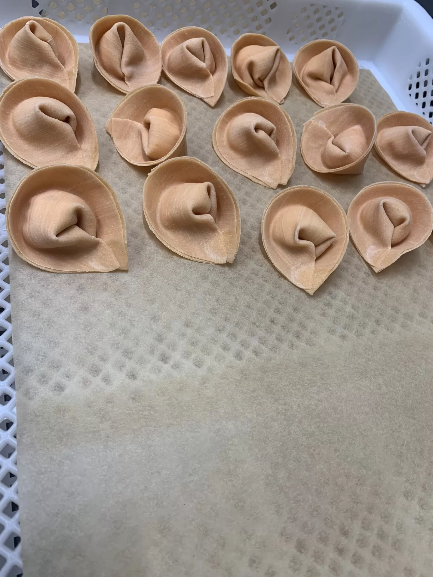 Tortelloni